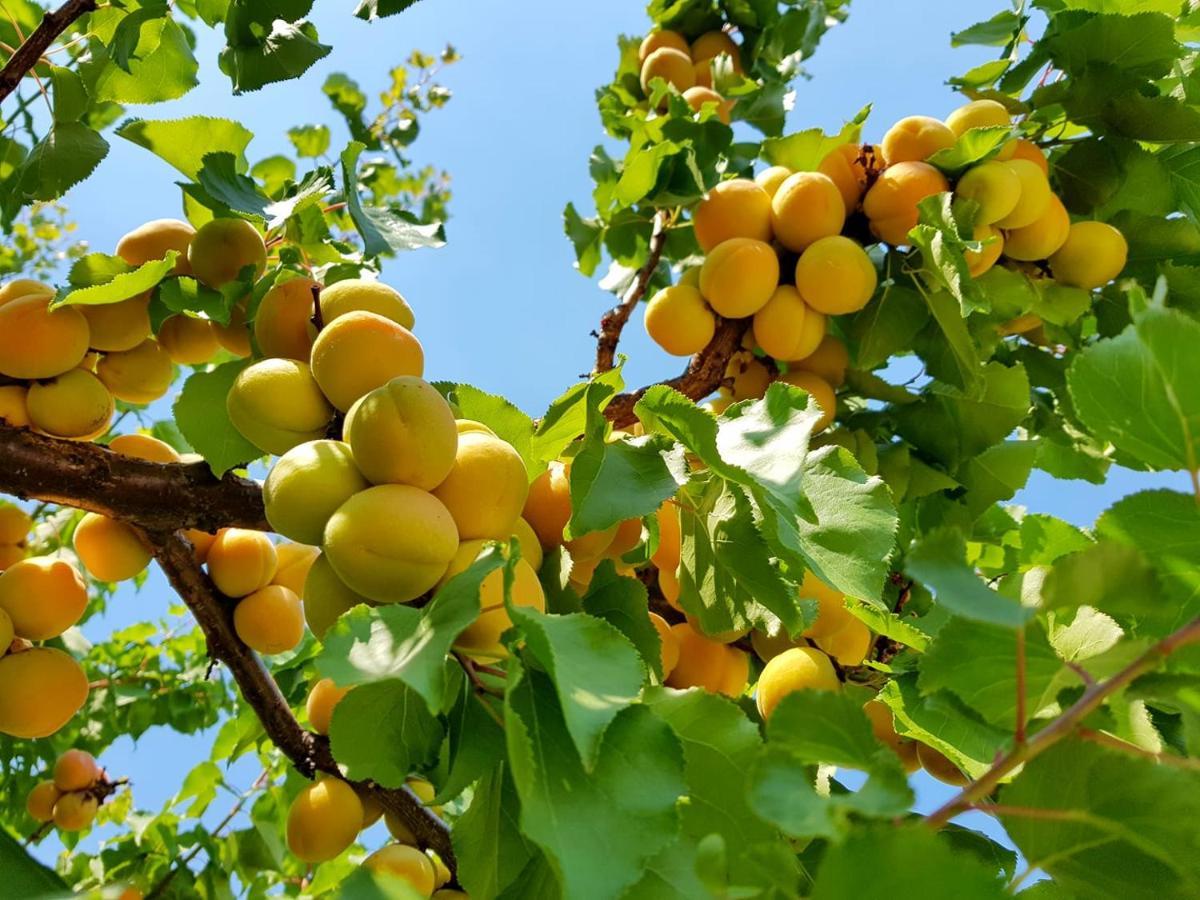 The Orchard At Oliver Hotel Екстериор снимка